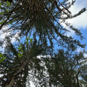 Meet your Posher, Jayden